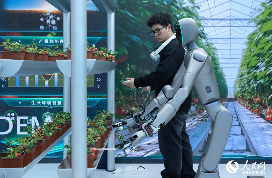 ميدان تدريب الروبوتات في تشنغتشو: تحويل 